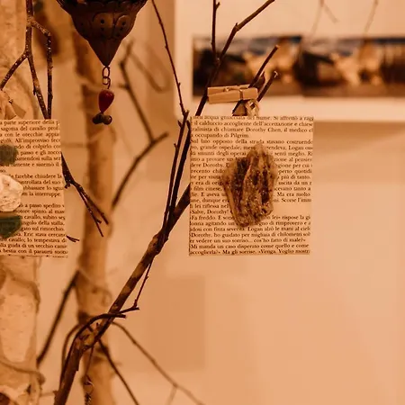 Apartment A Stare - Stone In The Historic Center -